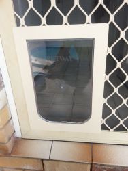 Cat Dog Pet Door;